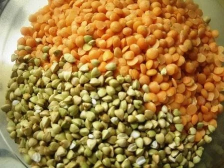 Rezept: Linsen-Buchweizen- Tomatensauce vegetarisch Bild Nr. 3 Linsen-Buchweizen- Tomatensauce vegetarisch - Rezept - Bild Nr. 3