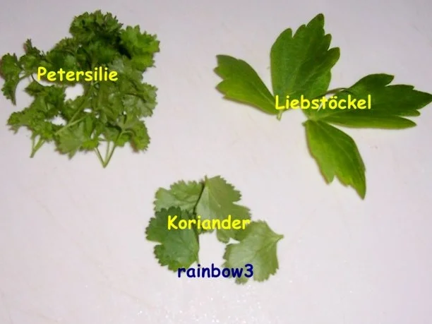 Rezept: Kochen: Gemüsesuppe Bild Nr. 6 Kochen: Gemüsesuppe - Rezept - Bild Nr. 6