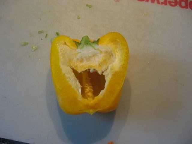 Gemischter Thunfischsalat ala Nizza - Rezept - Bild Nr. 9