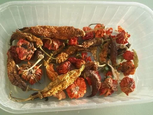 Rezept: Spaghetti Diavolo Aglio Olio e Gamberi e Peperoncini Bild Nr. 3 Spaghetti Diavolo Aglio Olio e Gamberi e Peperoncini - Rezept - Bild Nr. 3