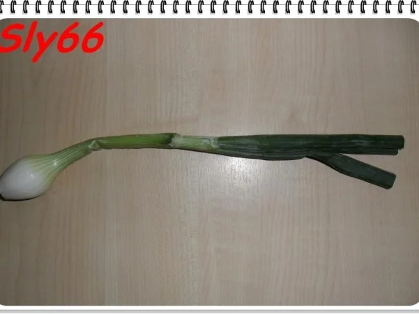 Suppen:Spargel-Kartoffelcremesuppe - Rezept - Bild Nr. 6