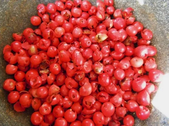 Ravioli mit Gorgonzola-Walnuss-Füllung und Salbeibutter - Rezept - Bild Nr. 2