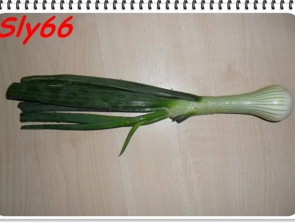 Rezept: Snacks:Gyros-Kebab Bild Nr. 12 Snacks:Gyros-Kebab - Rezept - Bild Nr. 12