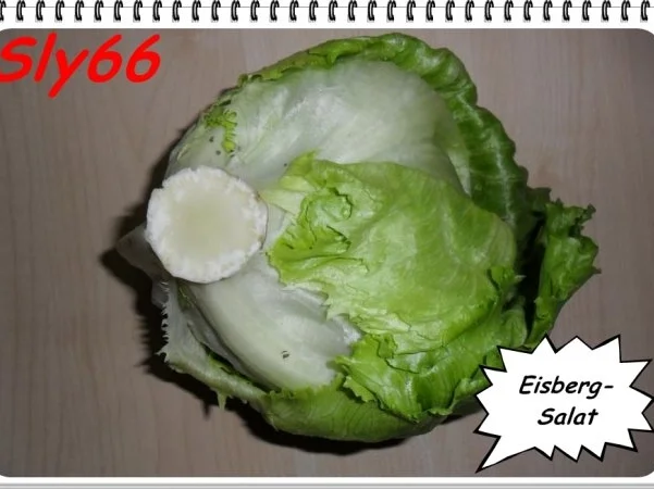 Rezept: Snacks:Gyros-Kebab Bild Nr. 14 Snacks:Gyros-Kebab - Rezept - Bild Nr. 14