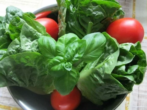 Rezept: Salat Satt Bild Nr. 2 Salat Satt - Rezept - Bild Nr. 2