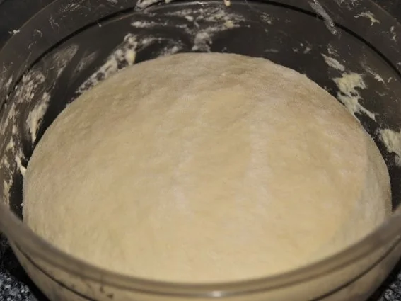 Olivenchiabatta - Rezept - Bild Nr. 5