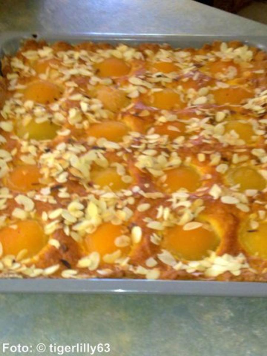 Aprikosen-Blechkuchen - Rezept mit Bild - kochbar.de