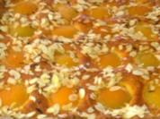 Aprikosen-Blechkuchen - Rezept