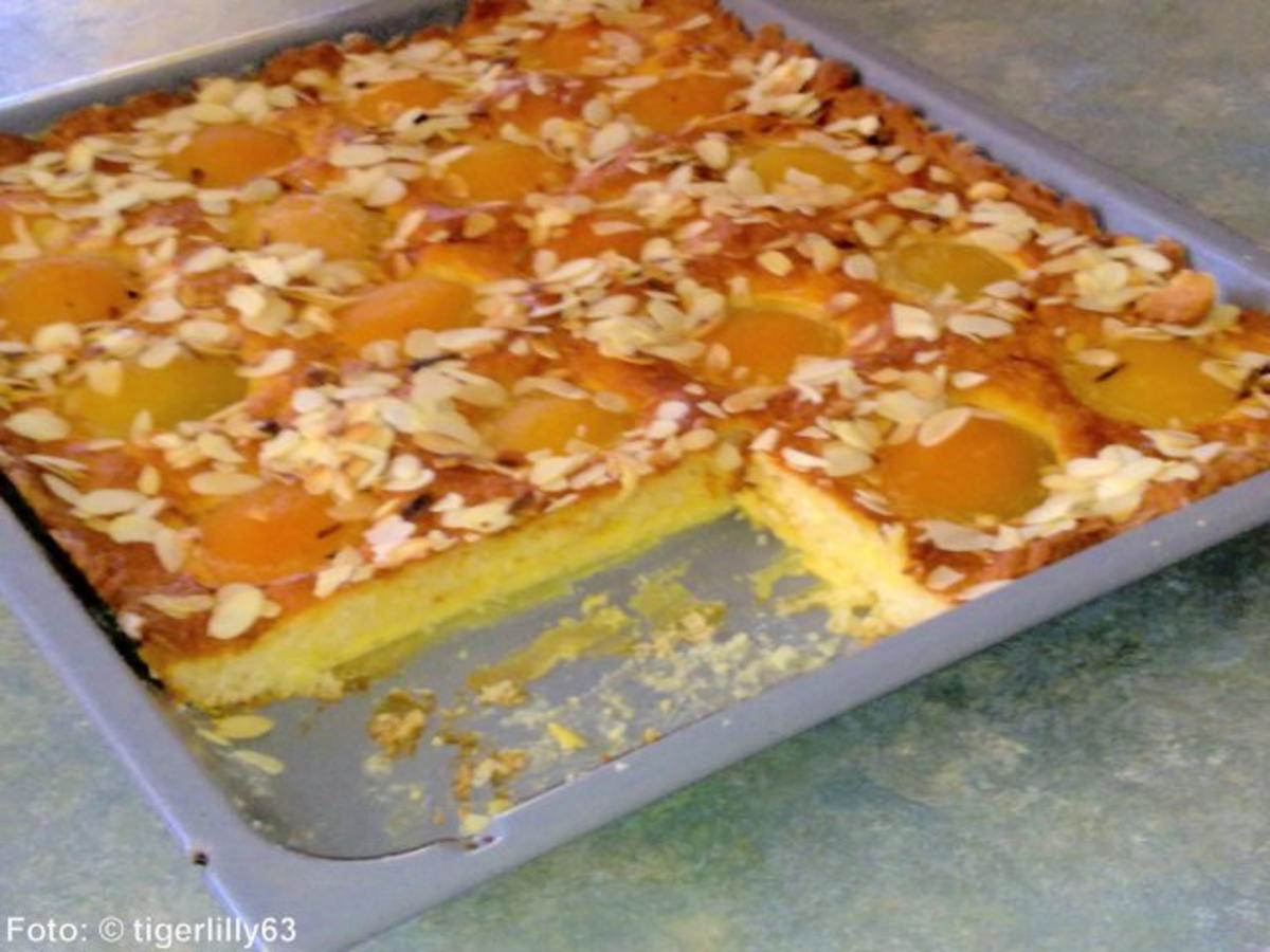 Aprikosen-Blechkuchen - Rezept - Bild Nr. 2