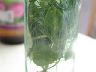 Rezept: Gewürzöl: Chili-Öl Bild Nr. 3 Gewürzöl: Chili-Öl - Rezept - Bild Nr. 3