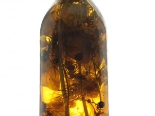 Rezept: Gewürzöl: Chili-Öl Bild Nr. 5 Gewürzöl: Chili-Öl - Rezept - Bild Nr. 5