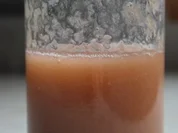 Rezept: Rhabarbersaft, naturtrรผb Rhabarbersaft, naturtrรผb - Rezept