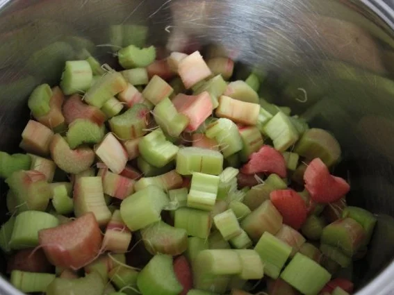 Rhabarbersaft, naturtrüb - Rezept - Bild Nr. 3