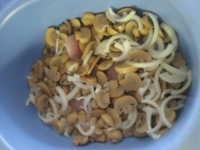 Putenschnitzel in Zwiebel-Champignon-Sahne - Rezept - Bild Nr. 2