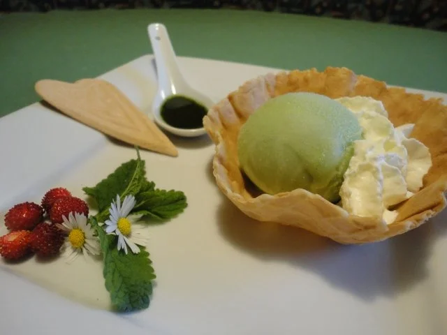 Zitronenmelissen-Eis - ohne Eismaschine - Rezept