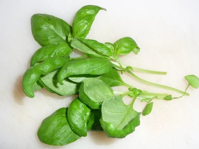 Rezept: Brot mediteran Bild Nr. 7 Brot mediteran - Rezept - Bild Nr. 7