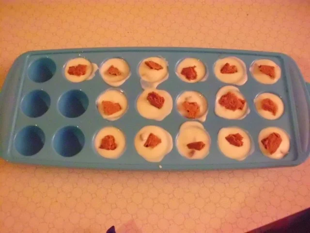 Rezept: HundeEis Bild Nr. 4 HundeEis - Rezept - Bild Nr. 4