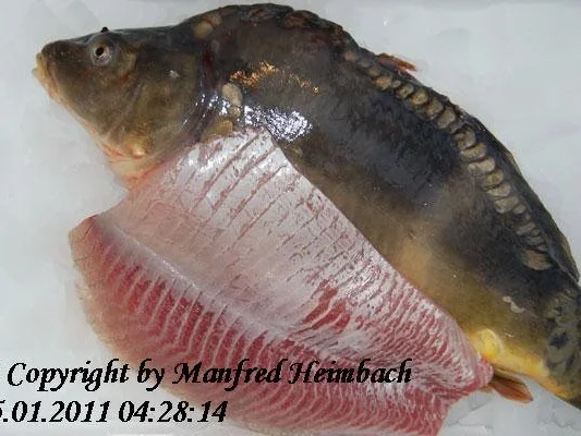 Fisch – Karpfenfilets in einer Mohnkruste mit Salat von der Vitelotte - Rezept