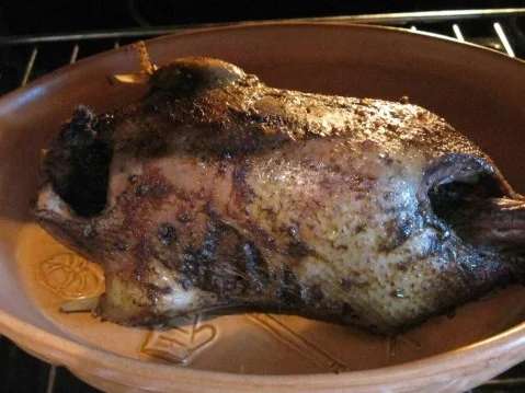 Rezept: Wilde-Zitronenente -Sanft Gegart Bild Nr. 2 Wilde-Zitronenente -Sanft Gegart - Rezept - Bild Nr. 2