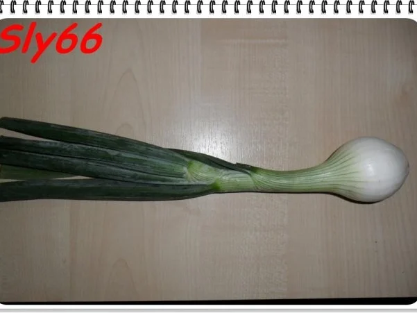 Aufläufe:Gefüllte Spitzpaprika - Rezept - Bild Nr. 9