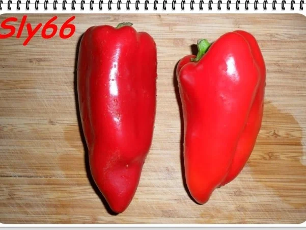 Aufläufe:Gefüllte Spitzpaprika - Rezept - Bild Nr. 24