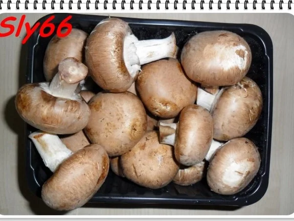 Aufläufe:Gefüllte Spitzpaprika - Rezept - Bild Nr. 2