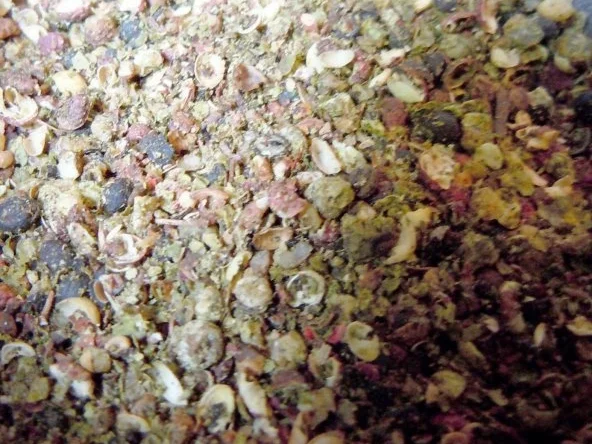 Pfeffer-Orangen-Sauce - Rezept - Bild Nr. 3