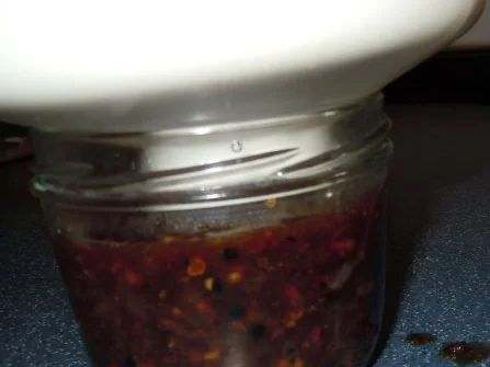 Pfeffer-Orangen-Sauce - Rezept - Bild Nr. 7