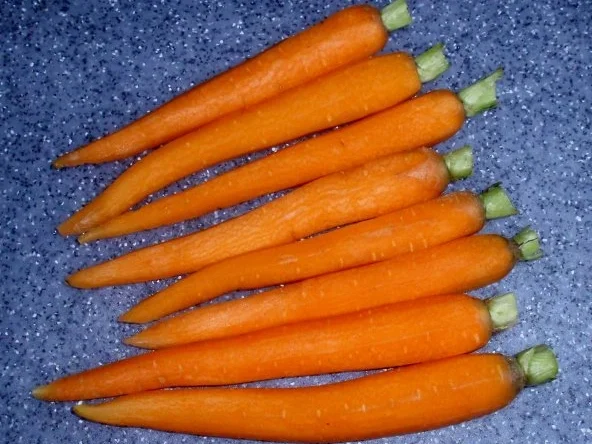 Rezept: Filetstreifen in Tomatensugo mit glasierten Karotten und Basmatireis Bild Nr. 2 Filetstreifen in Tomatensugo mit glasierten Karotten und Basmatireis - Rezept - Bild Nr. 2