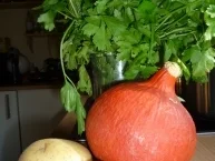 Kürbis Creme Süppchen á la Pit und Karin - Eigenkreation - Rezept