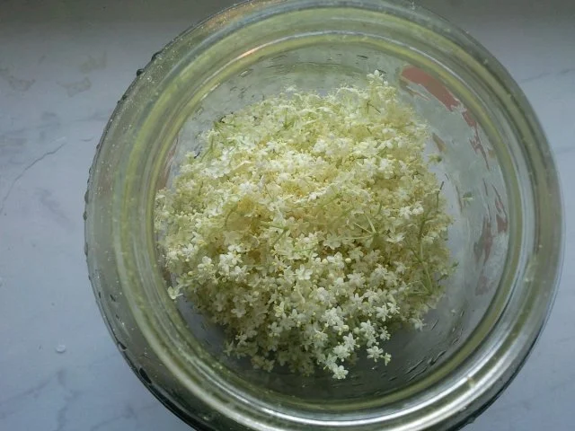 Holunderblütenlikör - Rezept - Bild Nr. 3