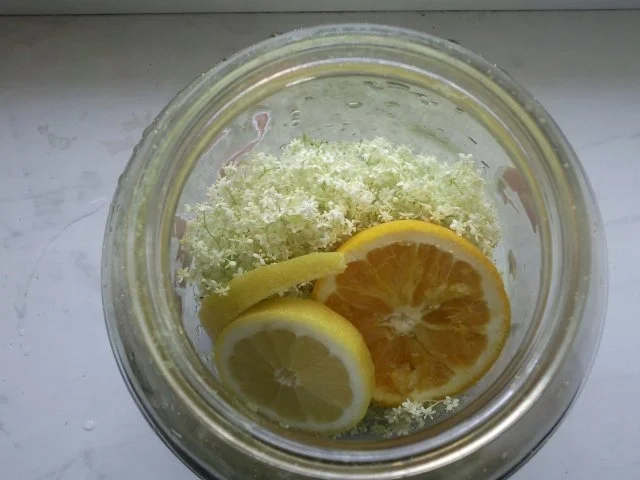 Holunderblütenlikör - Rezept - Bild Nr. 4