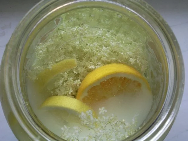 Holunderblütenlikör - Rezept - Bild Nr. 6