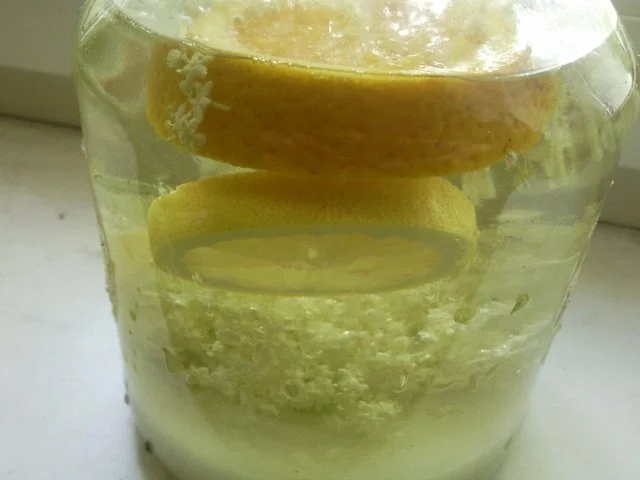 Holunderblütenlikör - Rezept - Bild Nr. 7