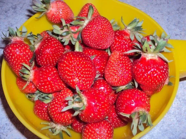 Erdbeer-Sahne Eis - Rezept - Bild Nr. 2