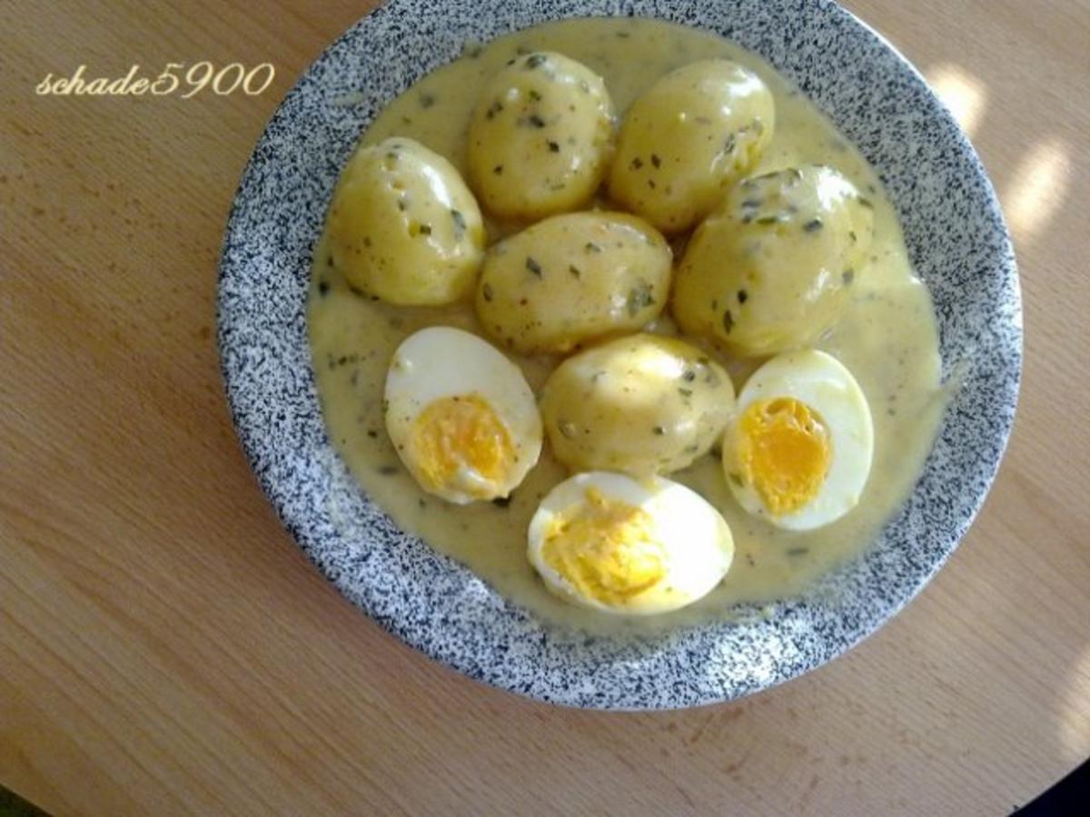 Eier : Eier in Senfsoße - 02 - Rezept - Bild Nr. 2