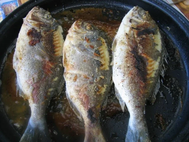 Gebratene  Dorade mit Tomatenzwiebeln - Rezept - Bild Nr. 6