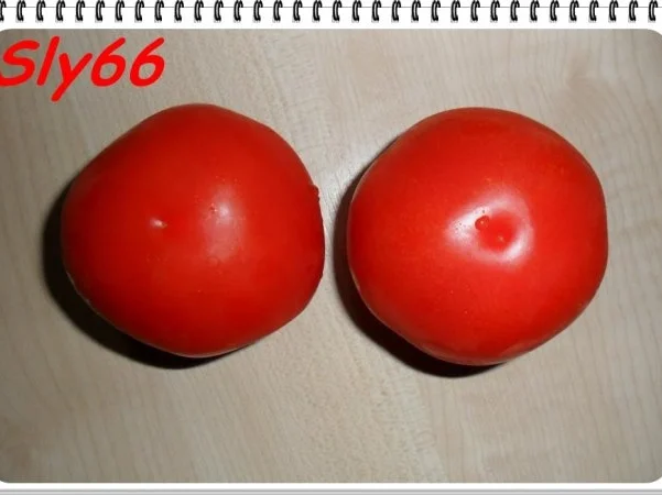 Salate:Sommersalat - Rezept - Bild Nr. 4