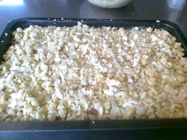 Rhabarber - Streuselkuchen - Rezept - Bild Nr. 10