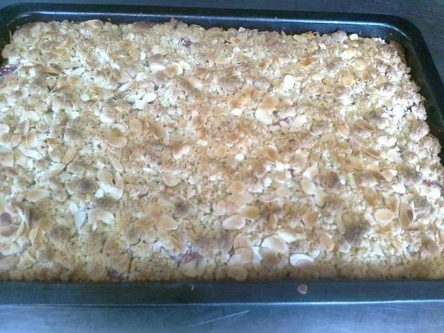 Rhabarber - Streuselkuchen - Rezept - Bild Nr. 11