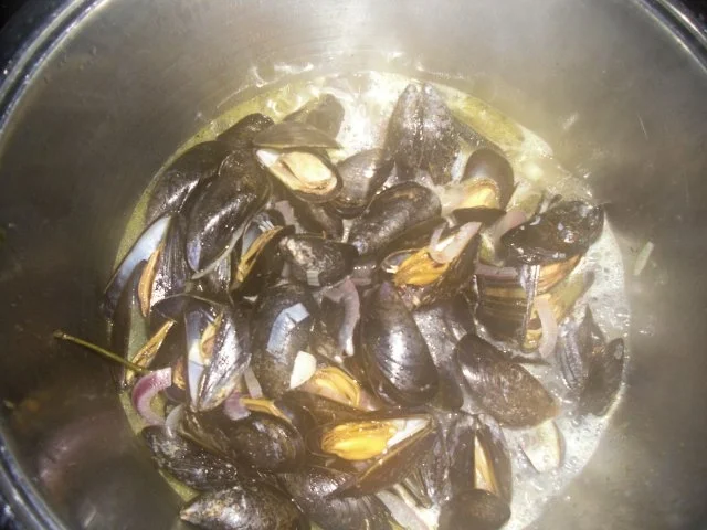 Muscheln in Weißweinsud - Rezept - Bild Nr. 5