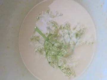 Gebackener Hollunder - Rezept - Bild Nr. 3