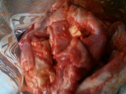 Hot-Lammgeknabber - Rezept - Bild Nr. 6