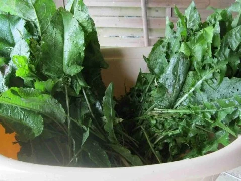 Rezept: Würze für Gemüse und Salat Bild Nr. 6 Würze für Gemüse und Salat - Rezept - Bild Nr. 6