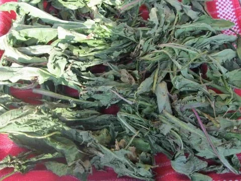 Rezept: Würze für Gemüse und Salat Bild Nr. 8 Würze für Gemüse und Salat - Rezept - Bild Nr. 8