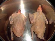 Suppe: Taubensüppchen "Eisberg" - Rezept