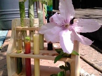 Rezept: Dreierlei "Sommer-Süppchen" Bild Nr. 5 Dreierlei "Sommer-Süppchen" - Rezept - Bild Nr. 5