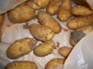 Feiner Kartoffelauflauf a la Mela! - Rezept