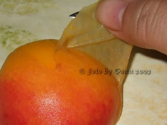 Eingmachtes: Pfirsichhälften, eingekocht - Rezept - Bild Nr. 4