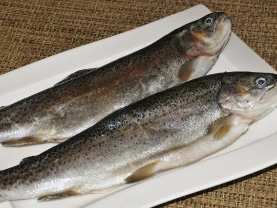 Rezept: Regenbogenforelle gebraten Bild Nr. 2 Regenbogenforelle gebraten - Rezept - Bild Nr. 2